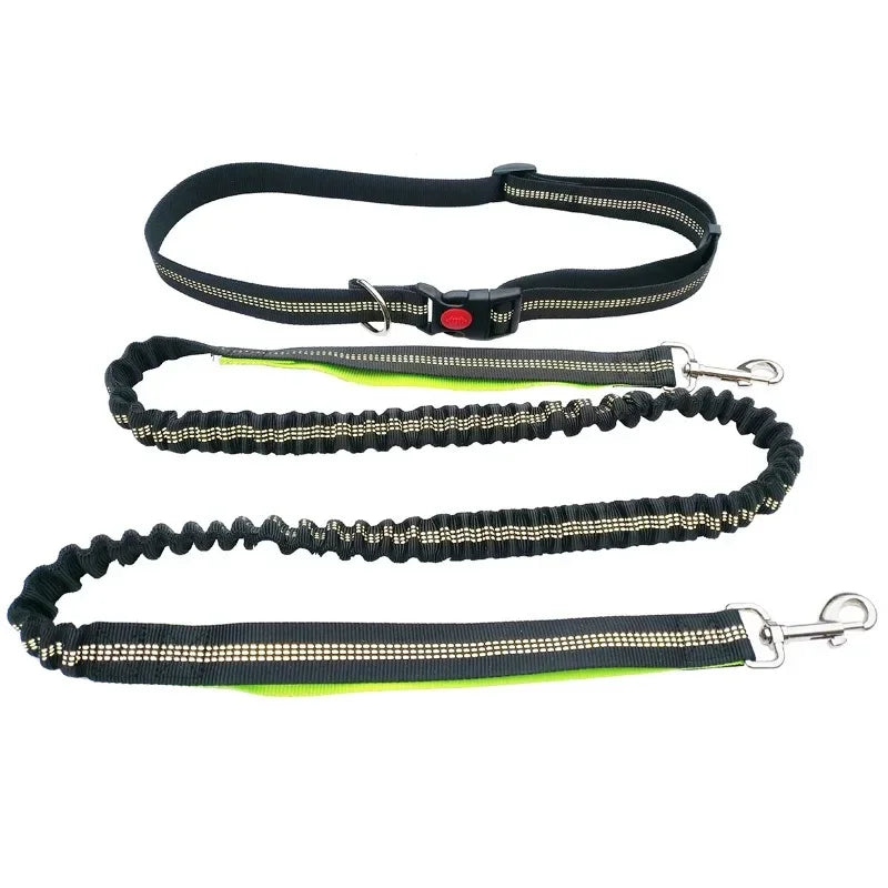 Hands-Free Dog Leash with Adjustable Waist Belt and Shock-Absorbing Bungee - Reflective Running, Jogging, and Walking Traction Rope for Small, Medium, and Large Dogs
