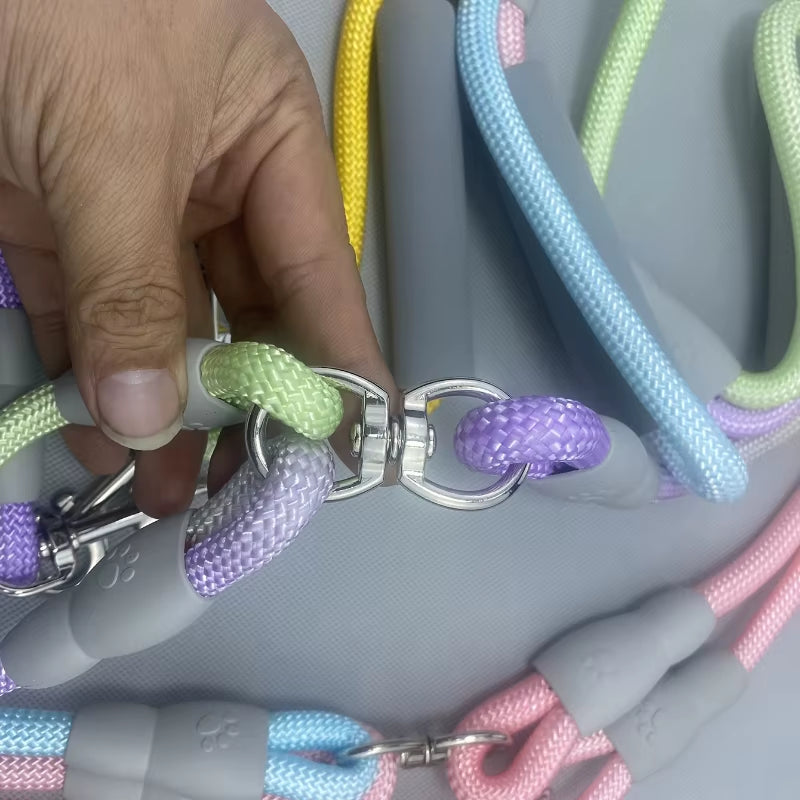 Double Pet Leash with Jewel-Tone Gradient