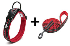 Adjustable Nylon Dog Collar and Leash Combo – Reflective Safety Design