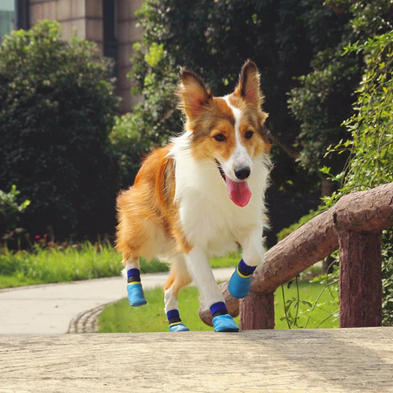 A set of four waterproof dog socks with yellow patterned cuffs and black rubber-coated anti-slip bottoms, designed for small and medium dogs.