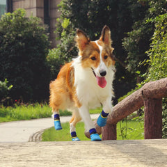 A set of four waterproof dog socks with yellow patterned cuffs and black rubber-coated anti-slip bottoms, designed for small and medium dogs.