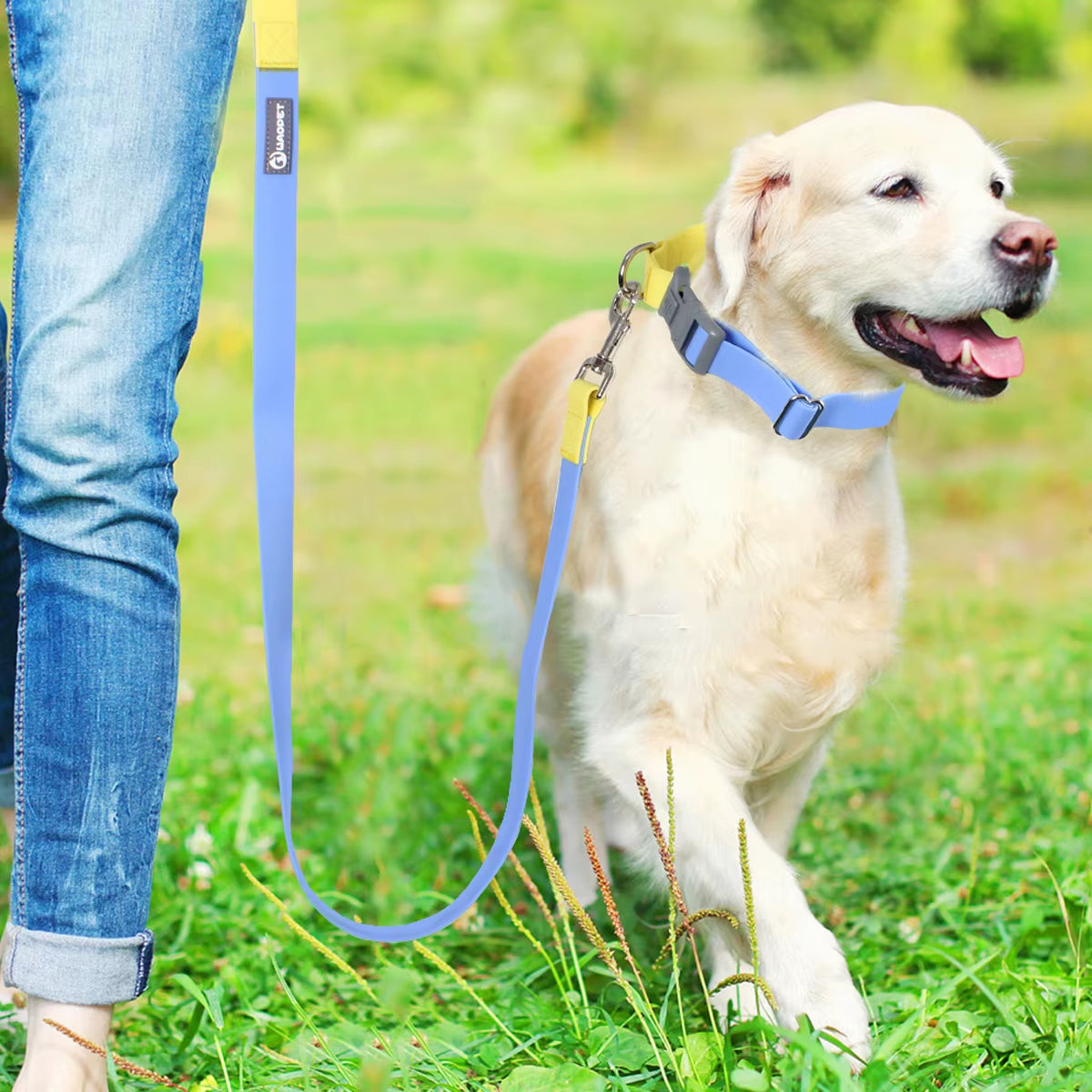 PVC Dog Collar & Leash Set with P‑Chain – Adjustable Training Collar for Dogs & Cats | Waterproof & Easy to Clean