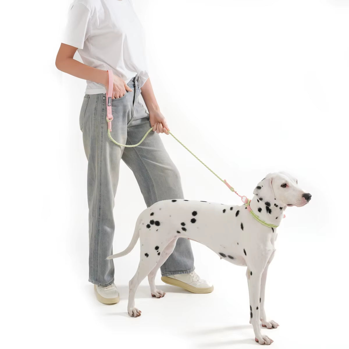 Cute Candy Color Dog Collar & Leash Set – PVC Biothane & Reflective Nylon for Small and Medium Dogs