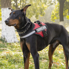 Heavy-Duty No-Pull Dog Harness | Explosion-Proof Reflective Vest for Large Dogs