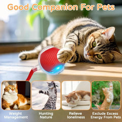 Smart Interactive Dog & Cat Tail Ball - Automatic Motion Rolling Toy