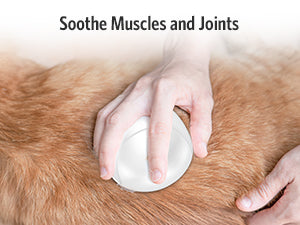 Pet Massager for Dogs and Cats, Electric With 4 Rotatable Massage Heads, Three Modes, for Promote Bonding