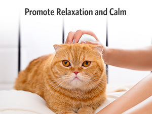 Pet Massager for Dogs and Cats, Electric With 4 Rotatable Massage Heads, Three Modes, for Promote Bonding