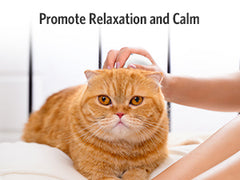 Pet Massager for Dogs and Cats, Electric With 4 Rotatable Massage Heads, Three Modes, for Promote Bonding