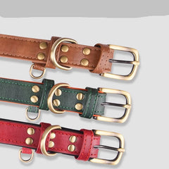 Padded Leather Pet Collar | Durable Adjustable Neck Strap with Brushed Bronze Hardware - Brown