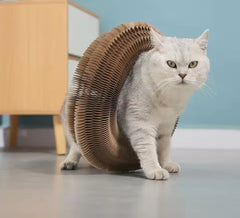 Magic Accordion Cat Scratcher Toy with Ball – Corrugated Cat Climbing Frame & Scratch Board