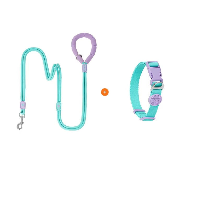 Rope Dog Leash & Collar Set (3-20kg) - Padded Comfort Handle & Color-Block