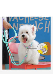 Rope Dog Leash & Collar Set (3-20kg) - Padded Comfort Handle & Color-Block