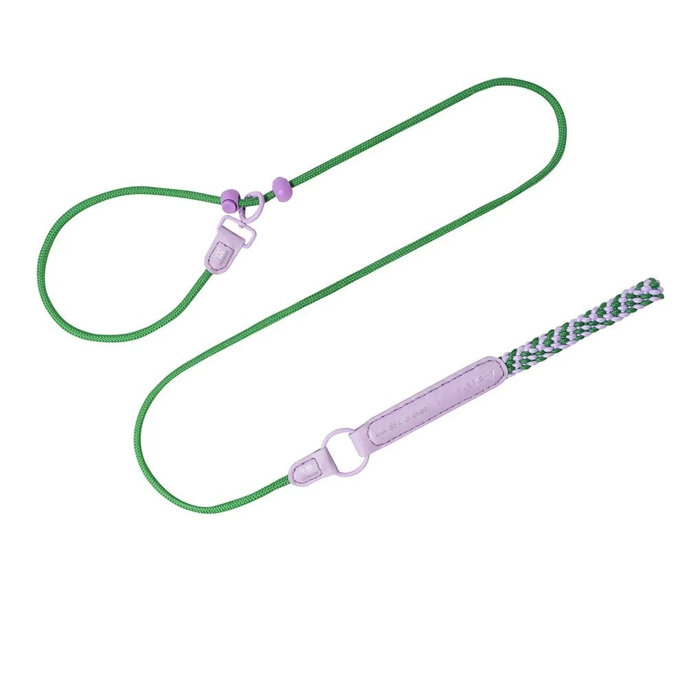Versatile Dog Leash Collection: Rope, Bungee, Ombre & Padded Comfort