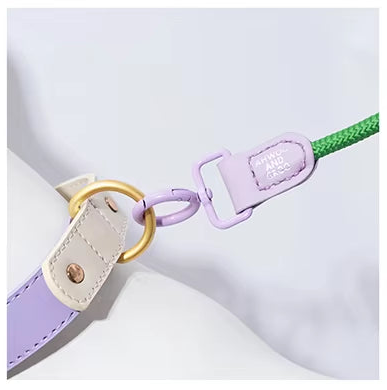 Versatile Dog Leash Collection: Rope, Bungee, Ombre & Padded Comfort