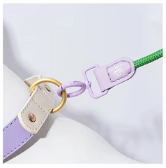 Versatile Dog Leash Collection: Rope, Bungee, Ombre & Padded Comfort