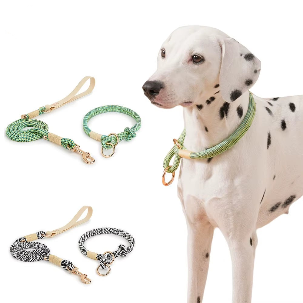 Braided Nylon Slip Collar and Leash Set | Adjustable Climbing Rope Traction Lead for Small, Medium, and Large Pets