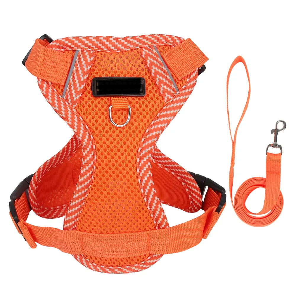 Breathable Mesh Dog Harness & Leash Set - Summer Puppy Walking Vest