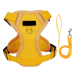 Breathable Mesh Dog Harness & Leash Set - Summer Puppy Walking Vest