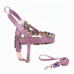 Saddle Dog Harness & Leash Set - No-Pull Padded Vest Walking Kit
