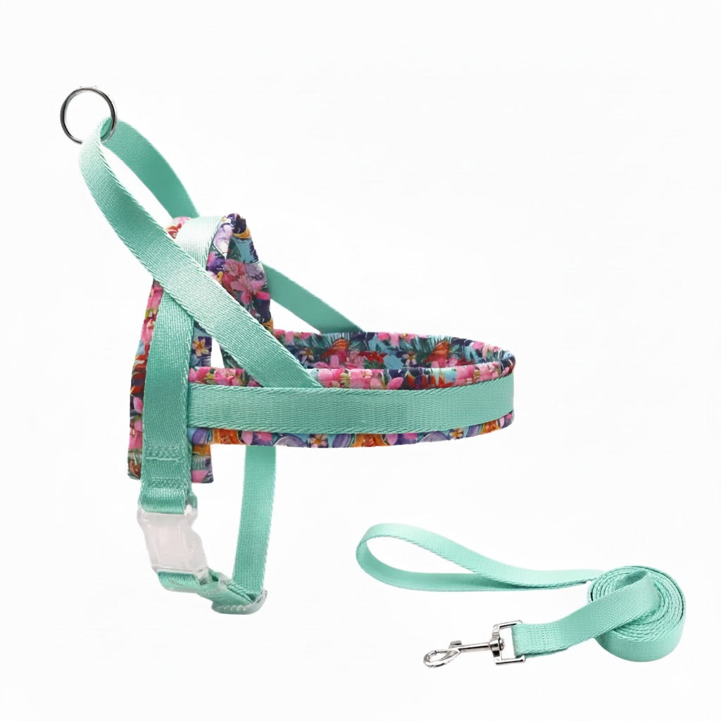 Saddle Dog Harness & Leash Set - No-Pull Padded Vest Walking Kit