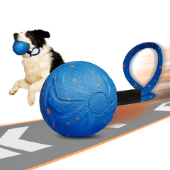Wicked Interactive Smart Ball - Waterproof Bouncing Toy for Dogs & Cats