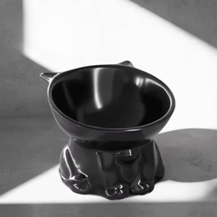 Elevated Cat and Dog Bowl with Ergonomic Tilted Design - Cervical Spine Protection & Washable Anti-Slip Pet Food Basin