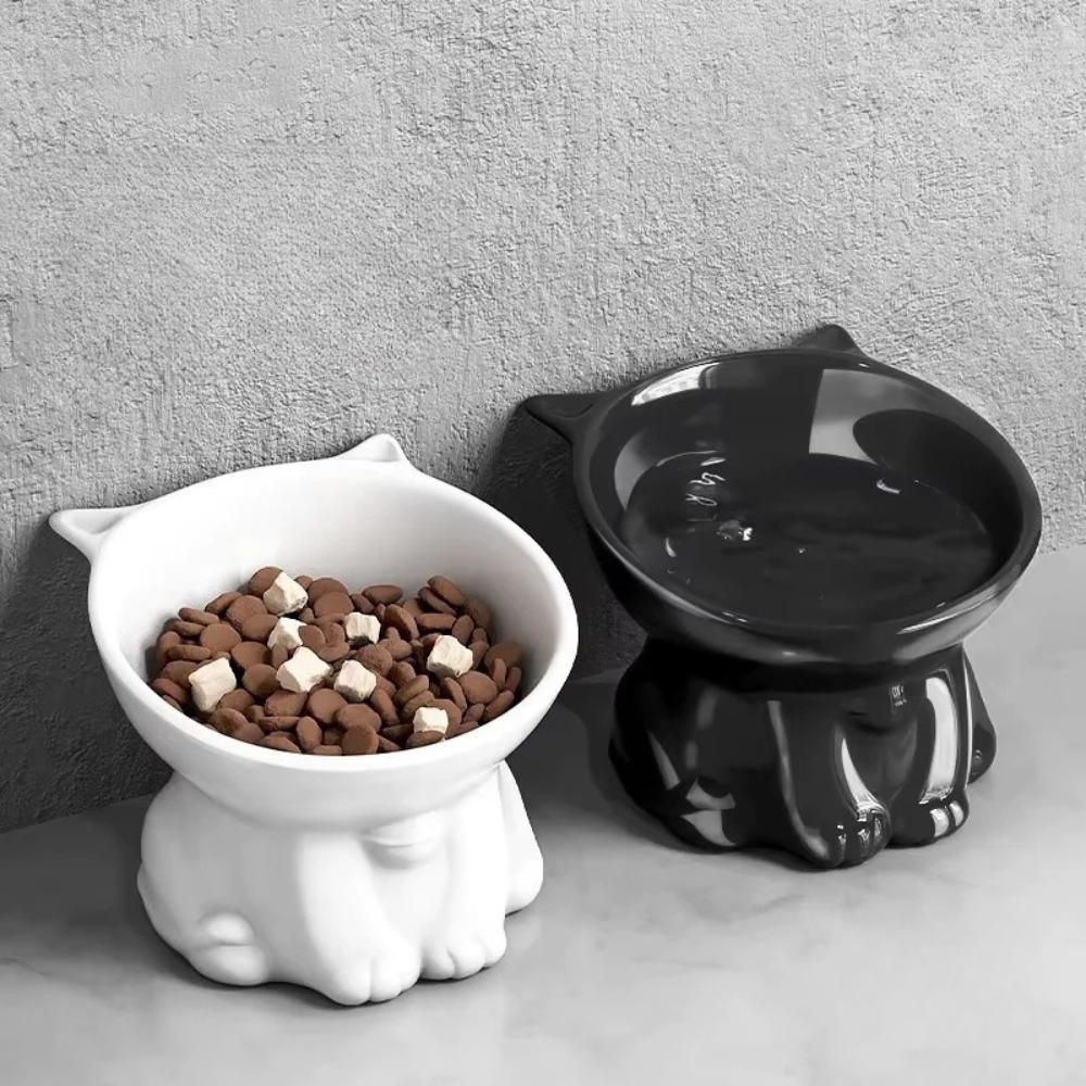 Elevated Cat and Dog Bowl with Ergonomic Tilted Design - Cervical Spine Protection & Washable Anti-Slip Pet Food Basin