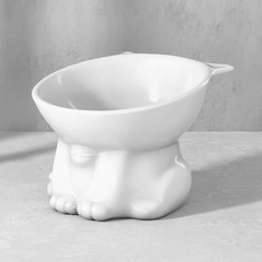 Elevated Cat and Dog Bowl with Ergonomic Tilted Design - Cervical Spine Protection & Washable Anti-Slip Pet Food Basin