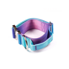 5CM Tactical Training Pet Collar with Gradient Color Anti-Pull Design Extra-Wide & Reinforced for Large Dogs Pet Supplies