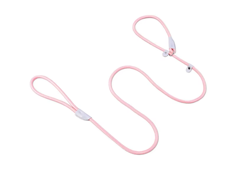 Dog Leash Explosion-Proof Punching Integrated P-Rope Dog Training Chain, Pull Resistant Leather Dog Walking Leash