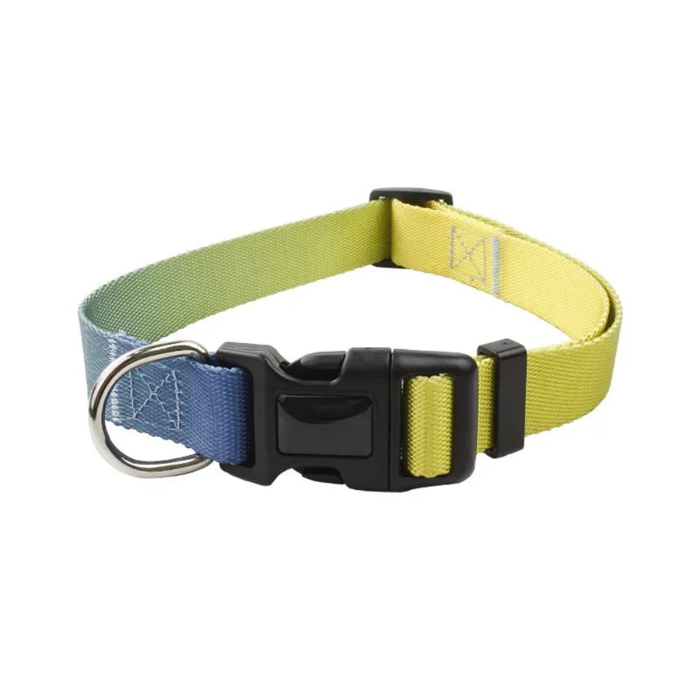 Nylon Adjustable Pet Collar and Leash Set | Durable Walking Traction Lead for Small, Medium, and Large Pets - Yellow Blue