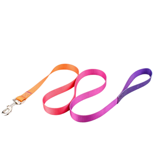 Nylon Adjustable Pet Collar and Leash Set | Durable Walking Traction Lead for Small, Medium, and Large Pets - Orange Blue