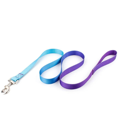 Nylon Adjustable Pet Collar and Leash Set | Durable Walking Traction Lead for Small, Medium, and Large Pets - Light Blue