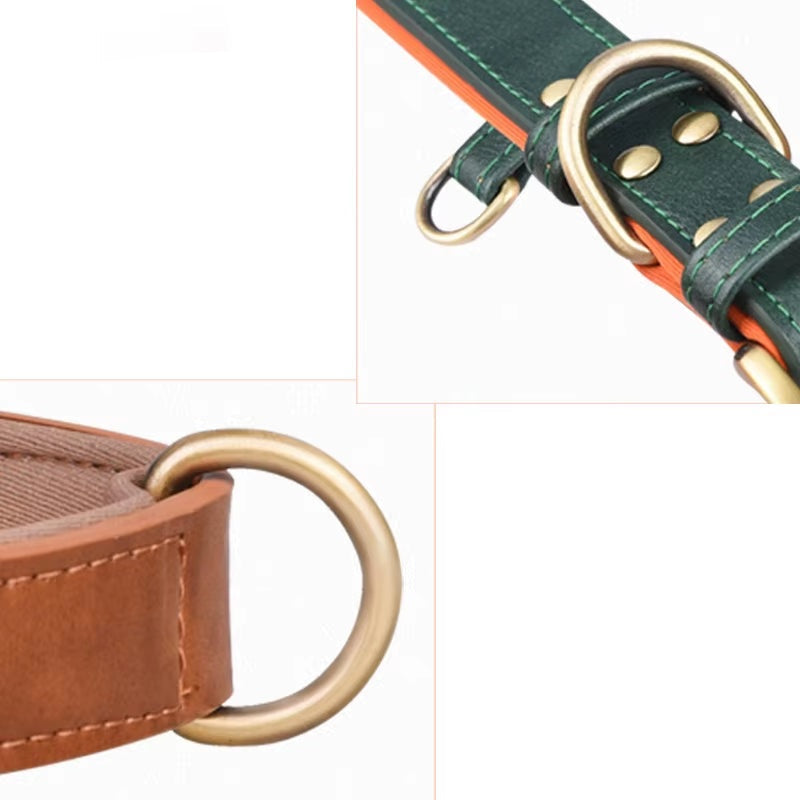 Padded Leather Pet Collar | Durable Adjustable Neck Strap with Brushed Bronze Hardware - Green Orange