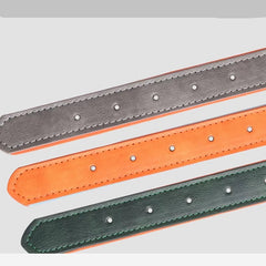 Padded Leather Pet Collar | Durable Adjustable Neck Strap with Brushed Bronze Hardware - Green Orange