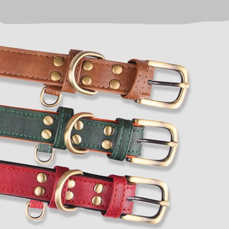 Padded Leather Pet Collar | Durable Adjustable Neck Strap with Brushed Bronze Hardware - Green Orange