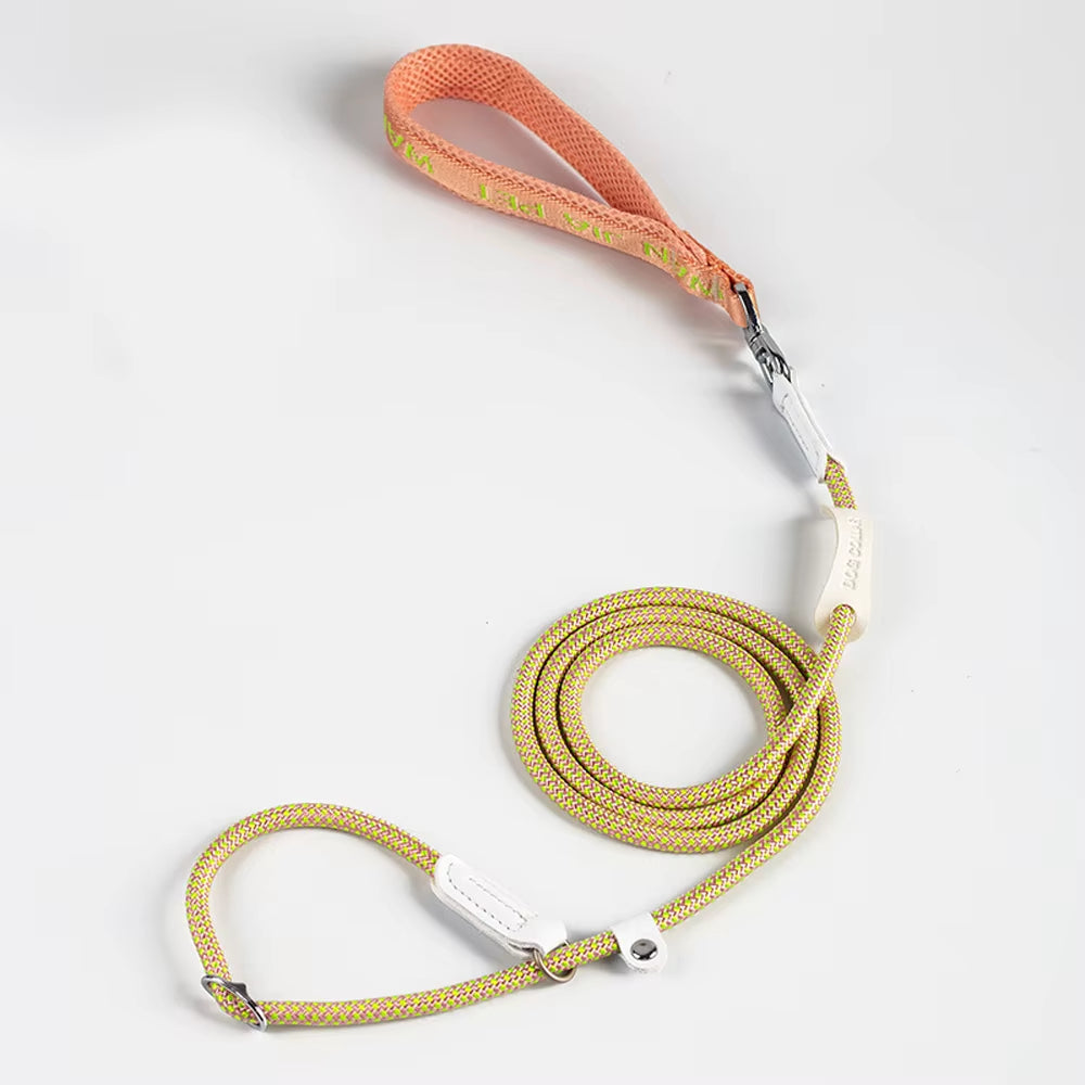 P Chain Pet Dog Rope Leash Outdoor Walking Training Lead for Small Medium Dogs