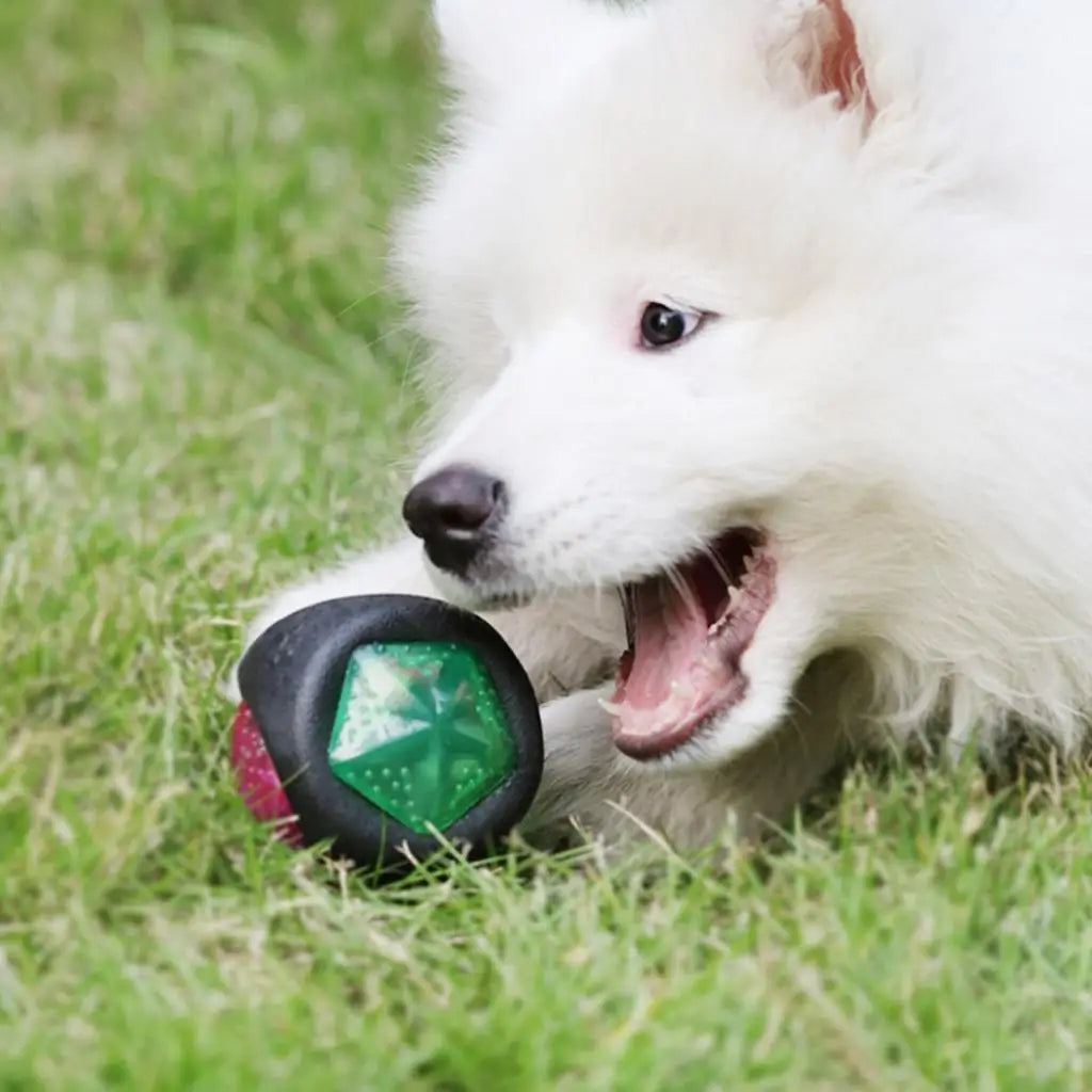 Interactive Light-Up Bouncy Dog Ball - High-Elasticity Bite-Resistant Glowing TPR Toy for Puppies, Medium, and Large Dogs