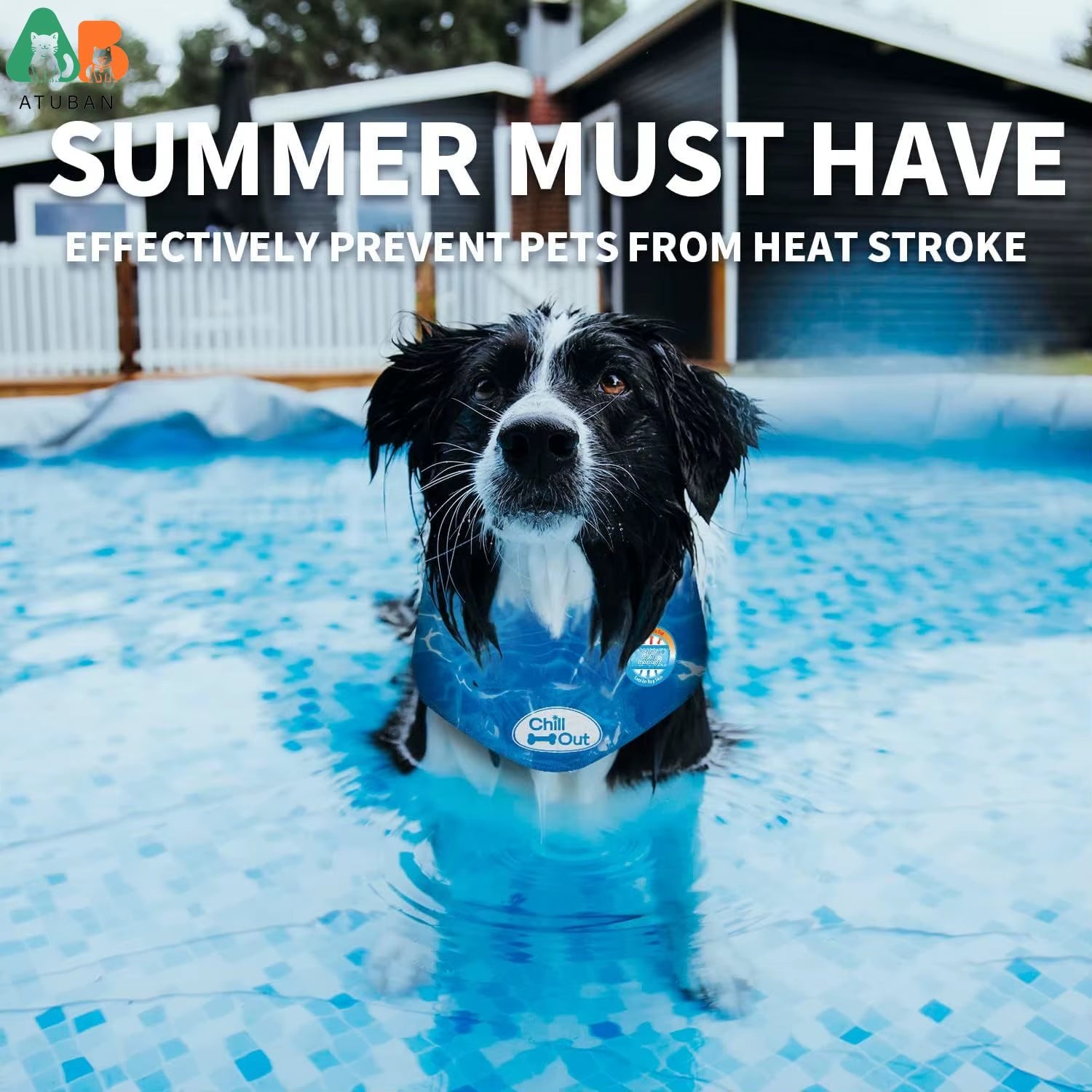 Cooling Neck Wraps for Dogs,Dog Cooling Dog Bandana,Chill Out Blue Dog Collar Cat Collar,Neck Cooler,Neck Cooling