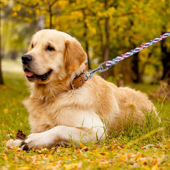 Colorful Braided Pet Leash | Durable Abstract Print Traction Lead for All-Season Outdoor Walking - White