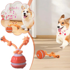 Smart Interactive Dog & Cat Rope Ball - Electronic Motion Toy (Blue/Red)