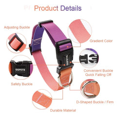Nylon Adjustable Pet Collar and Leash Set | Durable Walking Traction Lead for Small, Medium, and Large Pets - Pink