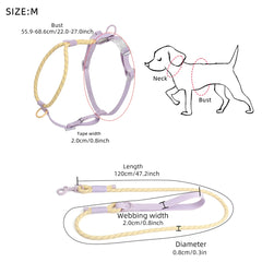 Summer Cooling No-Pull Dog Harness & Reflective Leash Set