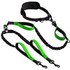 Explosion-Proof Short Elastic Buffer Pet Leash One-Hand Drag Two-Walking Rope Running Dog Accessories for Small Large Dogs