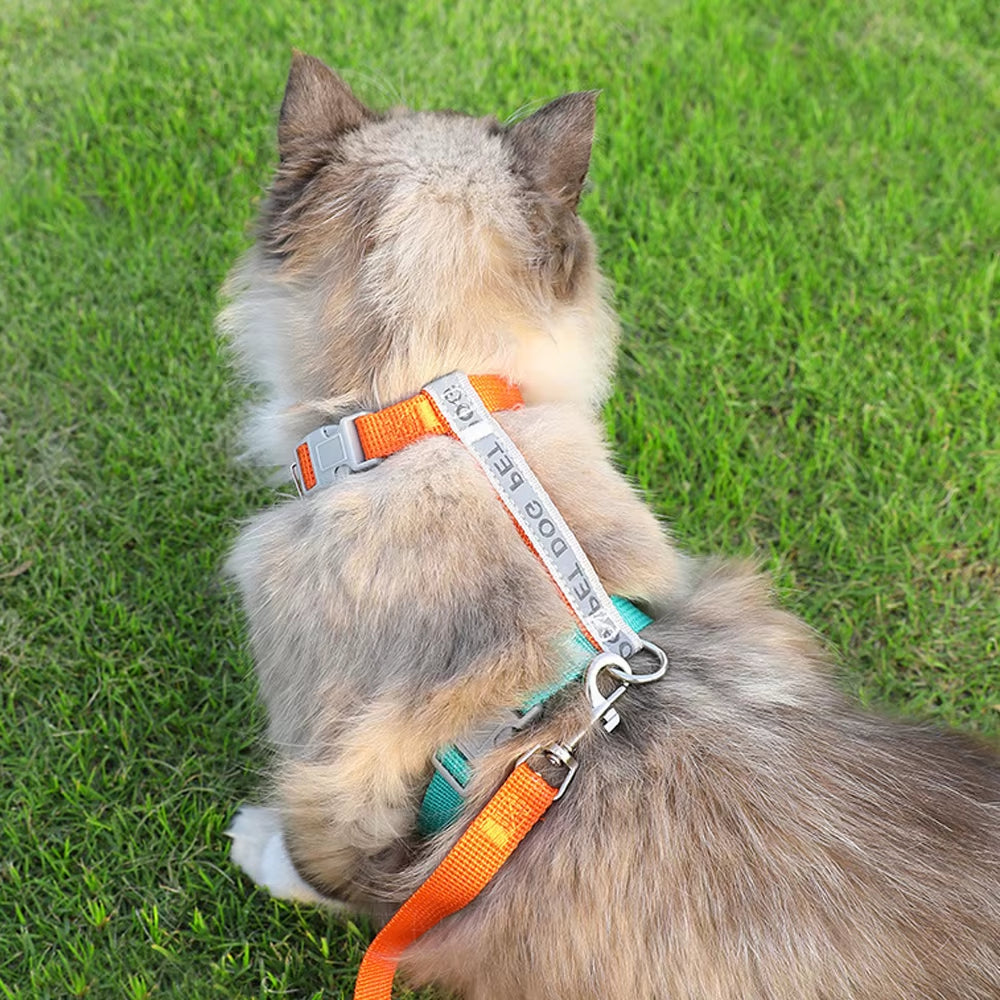 Reflective H-Shape Pet Harness & Leash Set - Anti-Breakaway Walking Kit