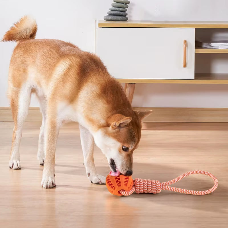 Pet Ball Toy with Rope Rubber Leaking Balls Toy for Small Large Dogs Puppy Chewing Bite Resistant Toys Dog Accessories