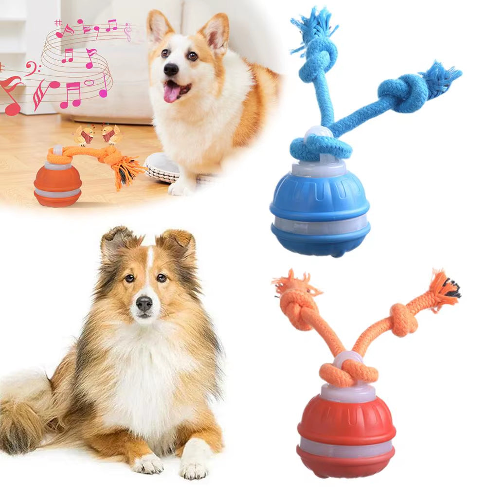 Interactive Dog Toy Ball with Rope Electronic Motion Activated Rolling Ball for Indoor Cat Dog Play Toys for Puppy Training Ball