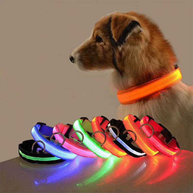 New Dog Light Night Safety Led Dog Collar Glowing Bright Cat Collar Dog Luminous Collar GXQ01