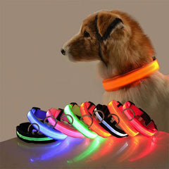 New Dog Light Night Safety Led Dog Collar Glowing Bright Cat Collar Dog Luminous Collar GXQ01