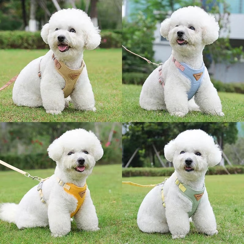 Breathable Puppy Harness & Leash Set for Small Dogs & Cats